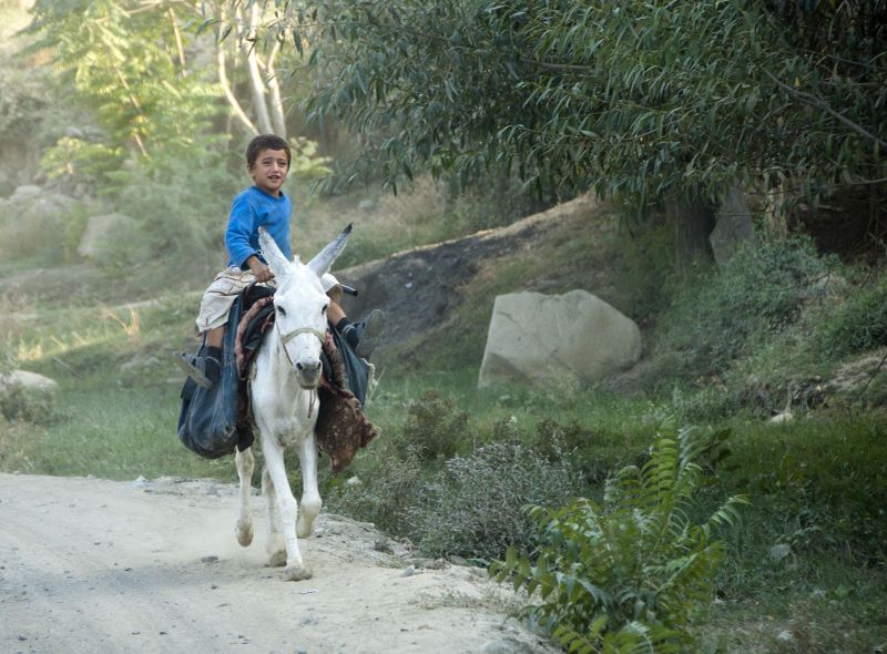 Groepsreis Kazachstan, Oezbekistan en Turkmenistan