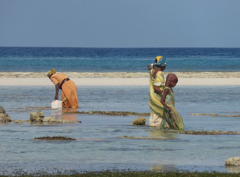 Tanzania Zanzibar Afrika