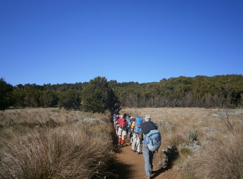 Tanzania Kilimanjaro