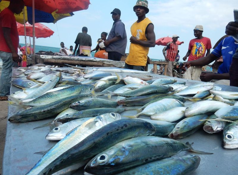 Tanzania &amp; Zanzibar