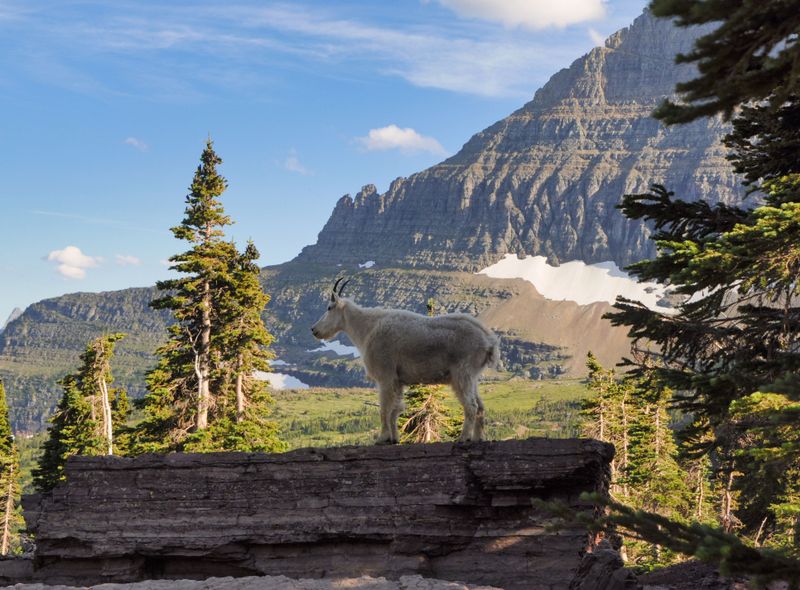 Groepsreis Rocky Mountains - Yellowstone