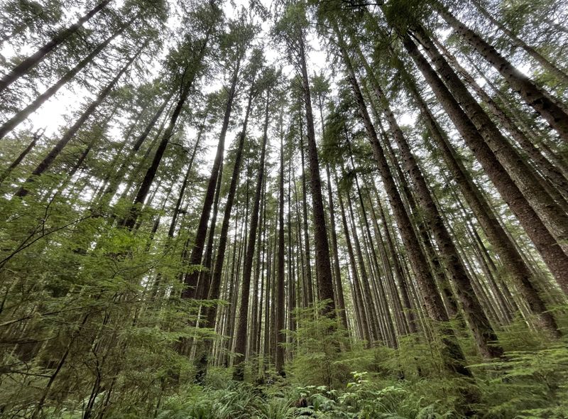 Groepsreis Rocky Mountains - Yellowstone