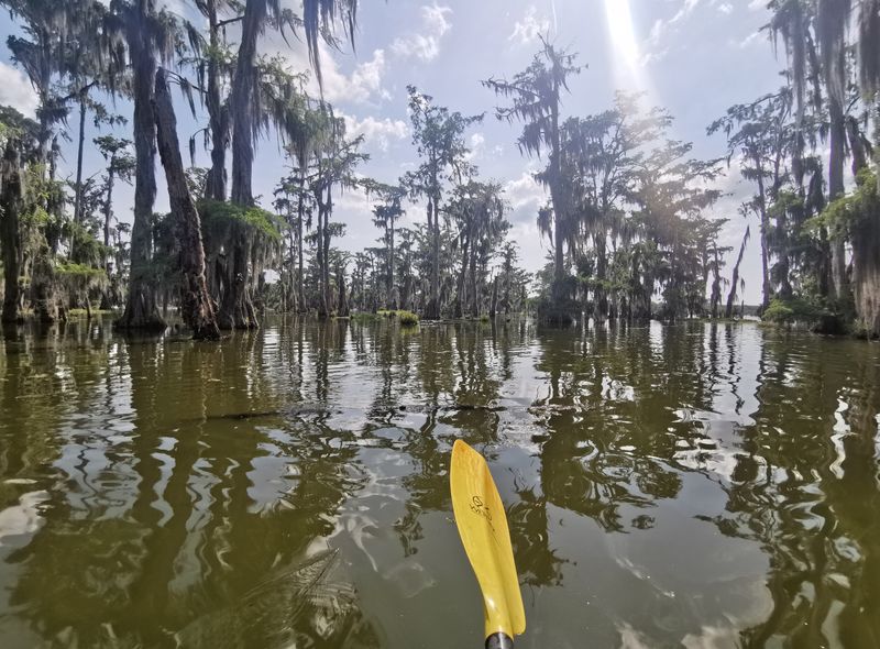 Groepsreis USA, Lafayette