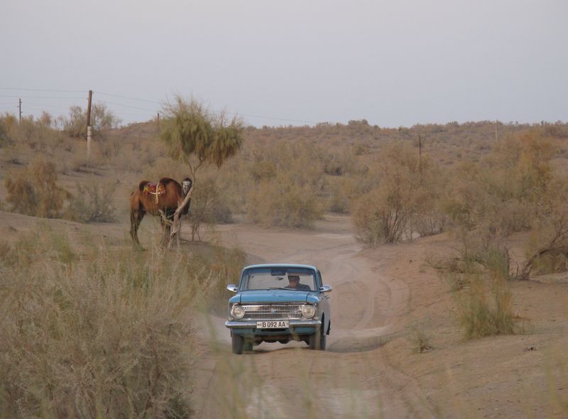 Groepsreis Oezbekistan