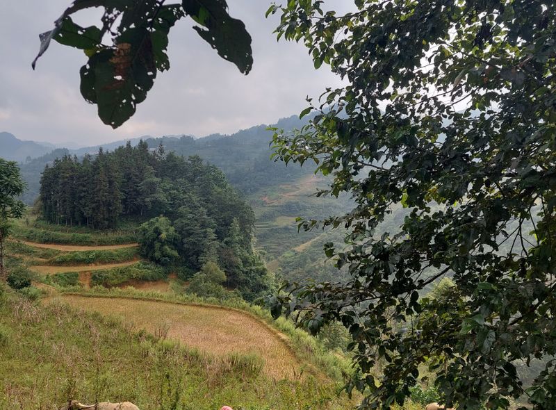 Groepsreis Vietnam