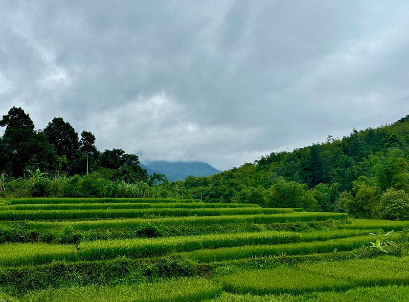 Groepsreis Vietnam