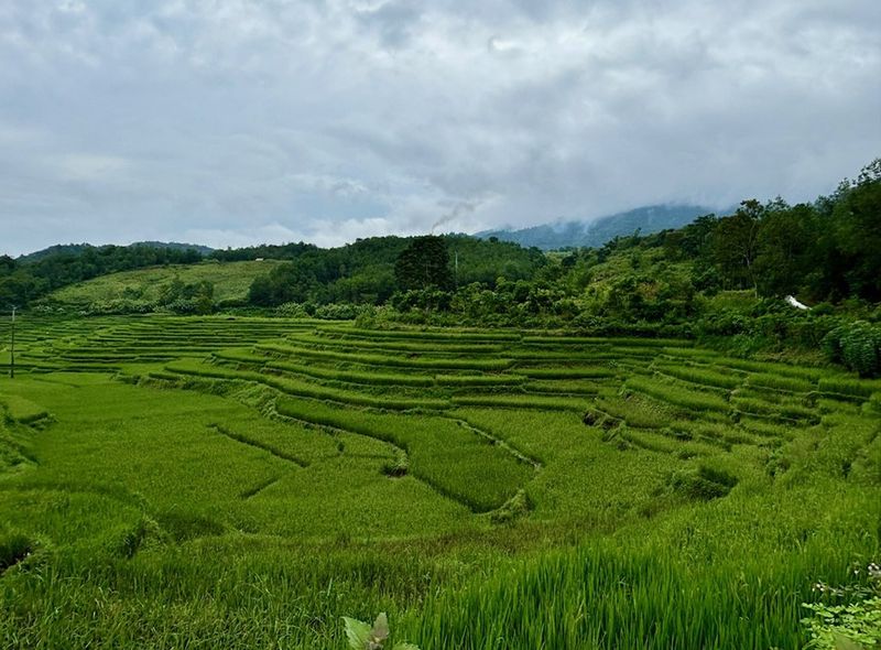 Groepsreis Vietnam