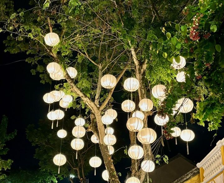 Groepsreis Vietnam