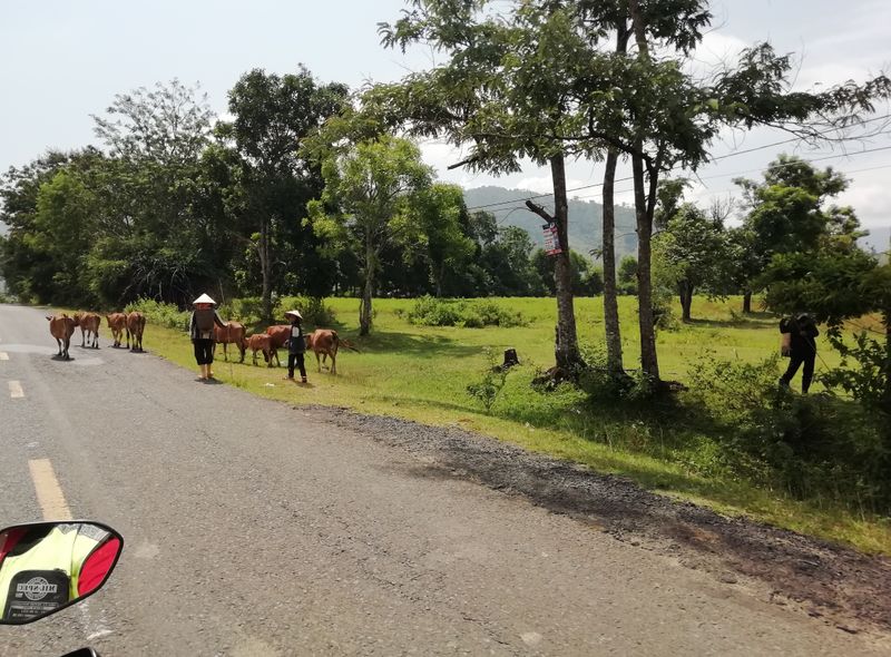 Groepsreis Vietnam