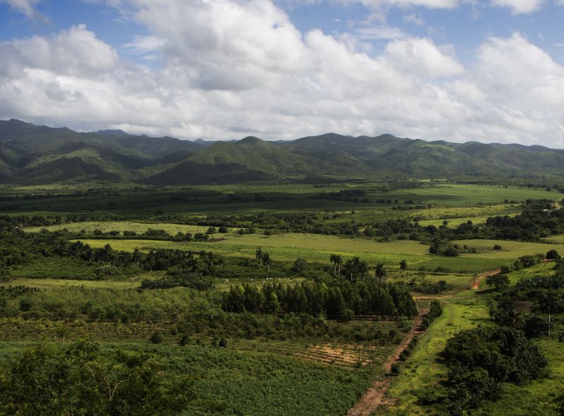 Grasgroene omgeving in Viñales foto Elisabeth Holzer