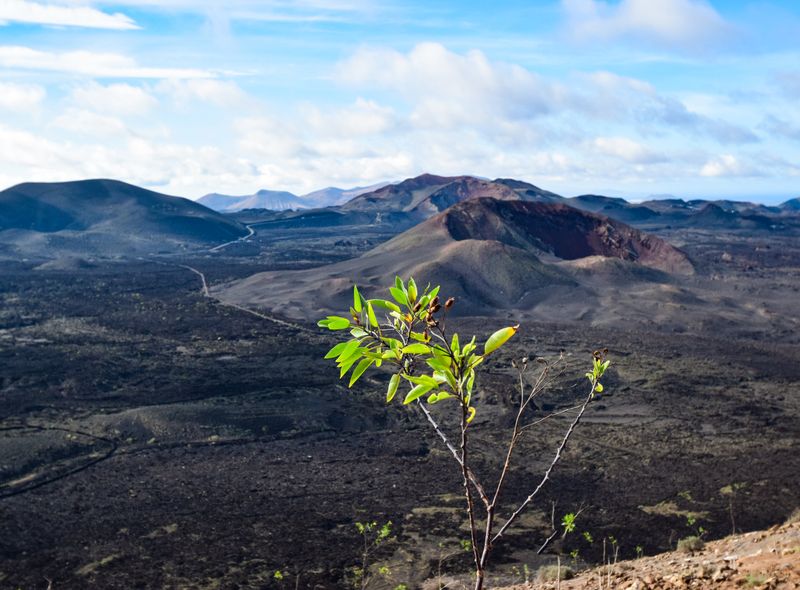 Spanje: Lanzarote Surf &amp; Dive