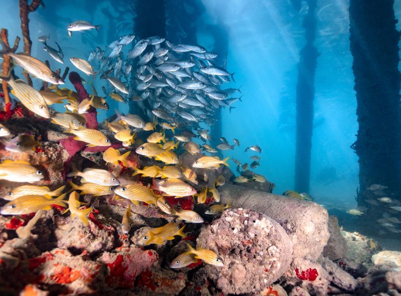 Groepsreis Guatemala, Honduras &amp; El Salvador Surf 2 Dive