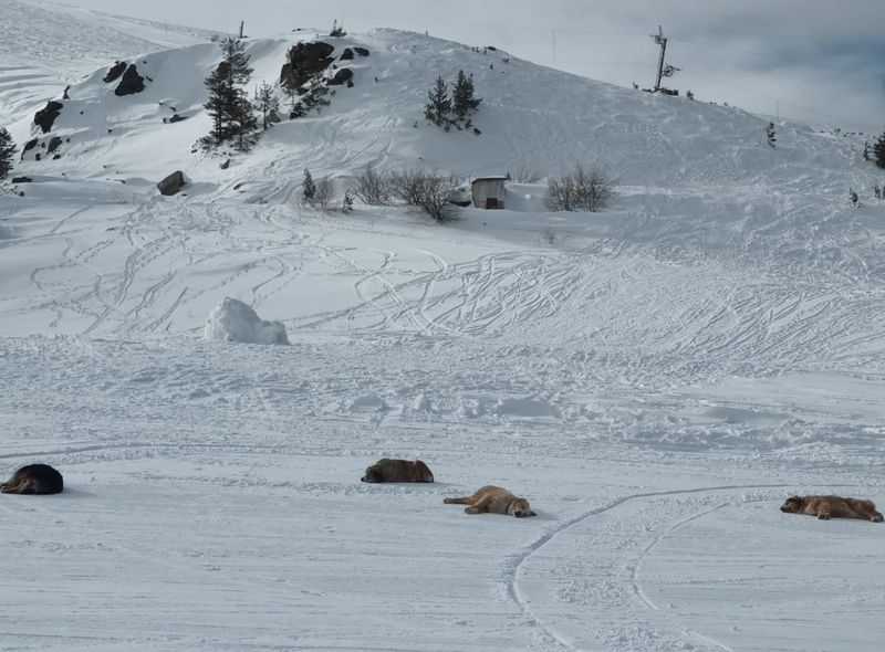 Groepsreis Bulgaria Backcountry