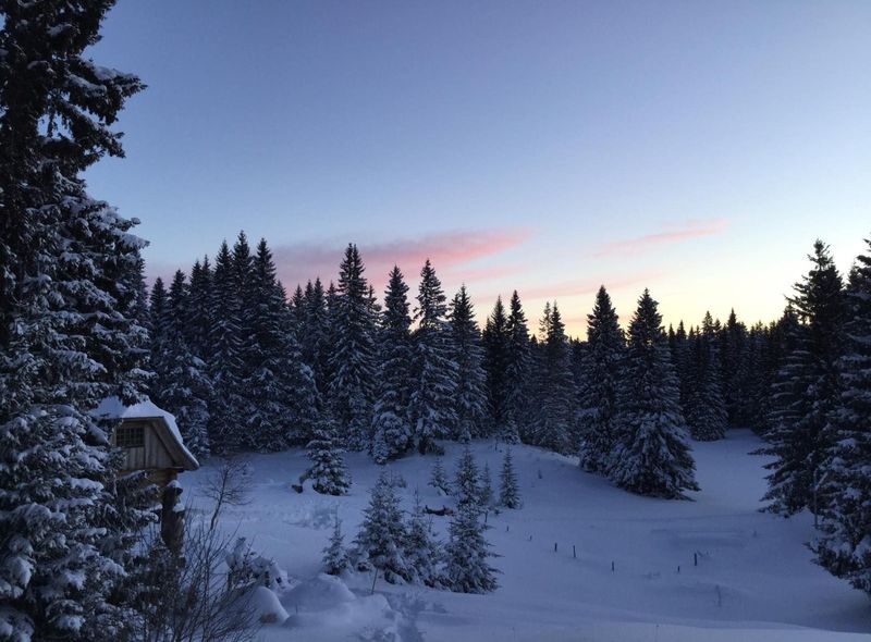 Groepsreis Montenegro