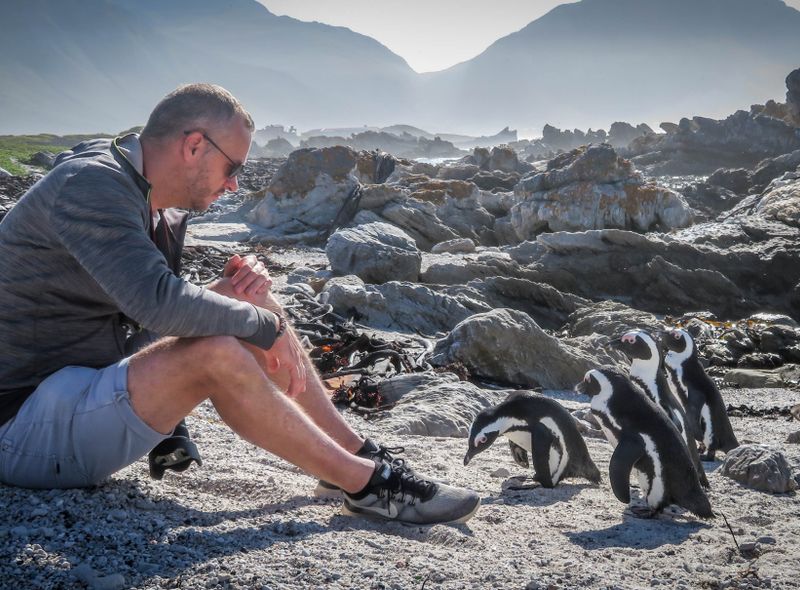 Groepsreis Zuid-Afrika jongerenreis Stony Point pinguïns op het strand