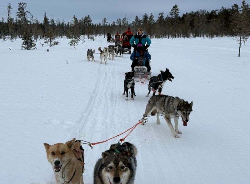 Groepsreis Winter Lapland