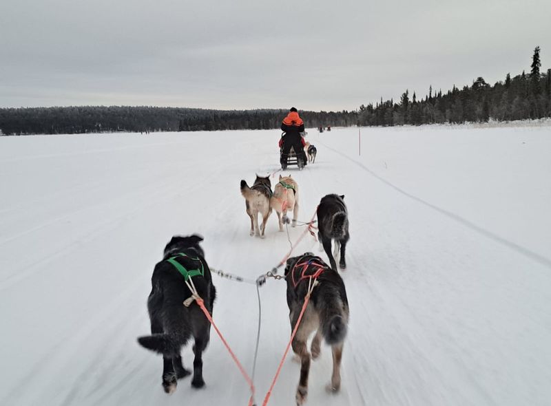 Groepsreis Winter Lapland