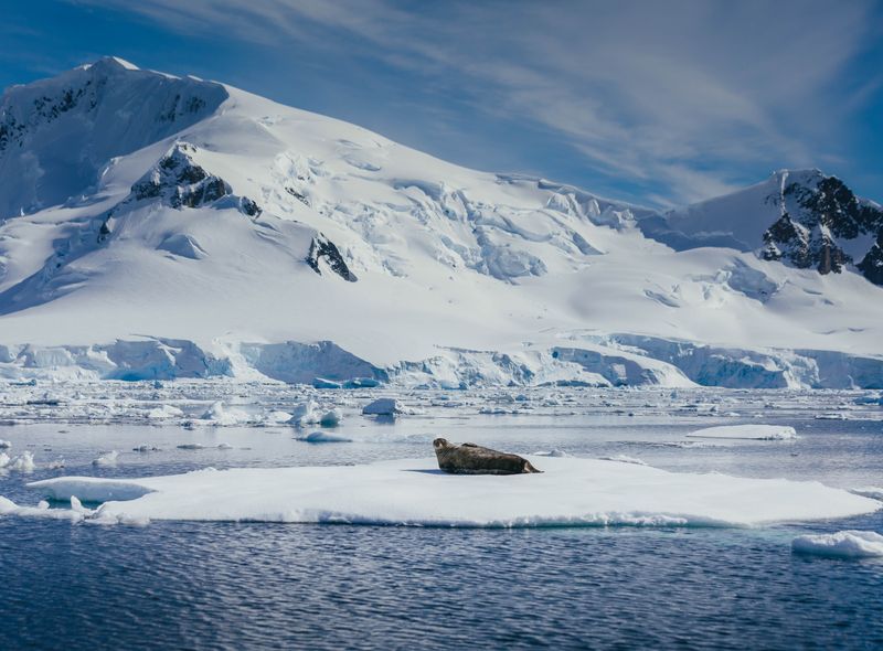Groepsreis Antarctica