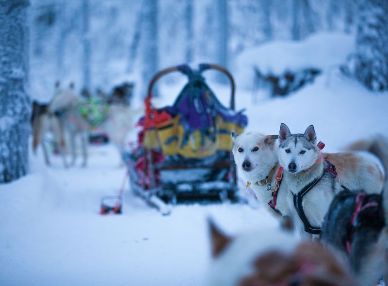 Groepsreis Finland