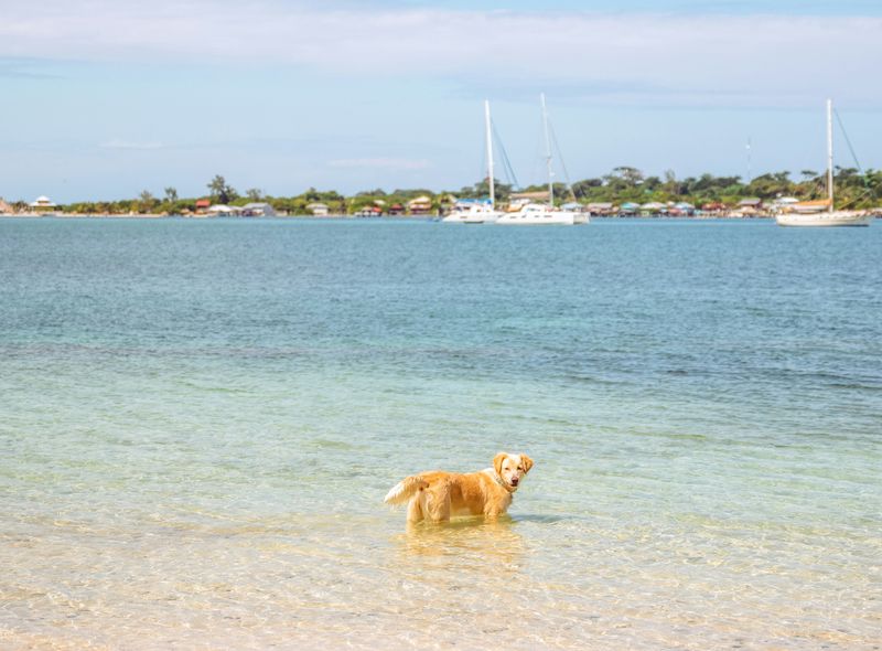 Groepsreis Guatemala, Honduras &amp; El Salvador Surf 2 Dive
