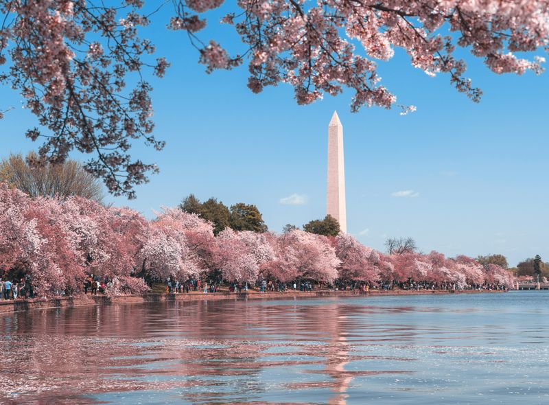 Groepsreis USA - NYC & DC