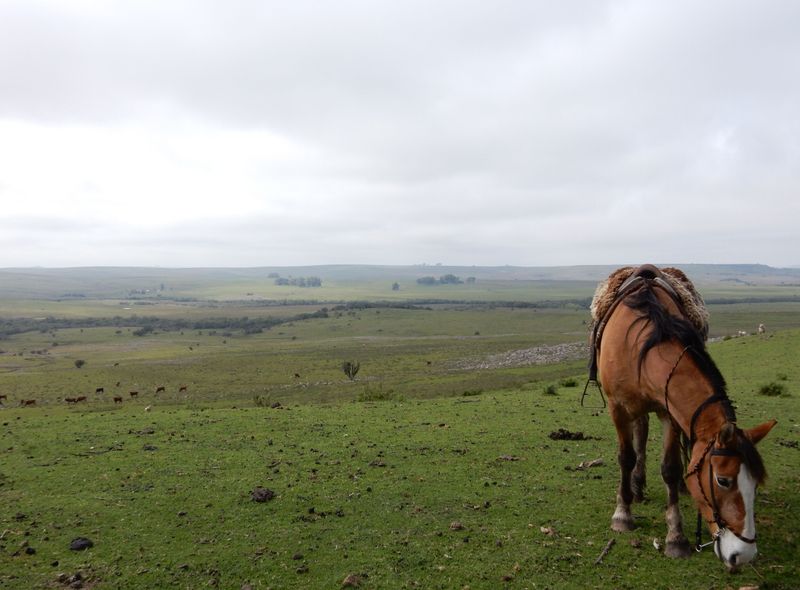 Argentinie, Uruguay, Paraguay en Braz