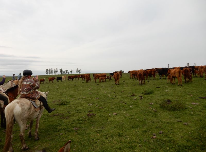 groepsreis Argentinië, Uruguay, Paraguay en Brazilië