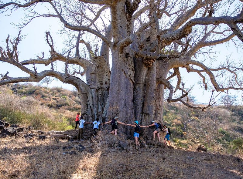 Tanzania Kilimanjaro
