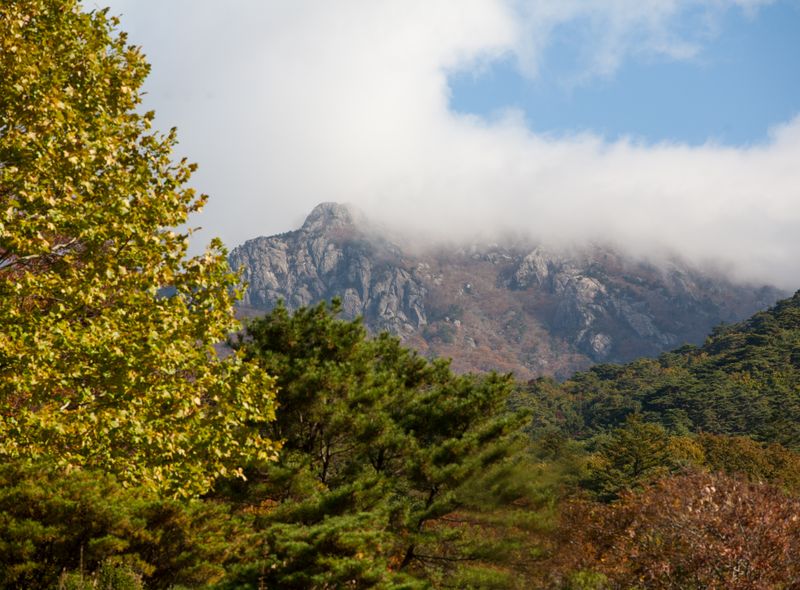 Groepsreis Zuid-Korea