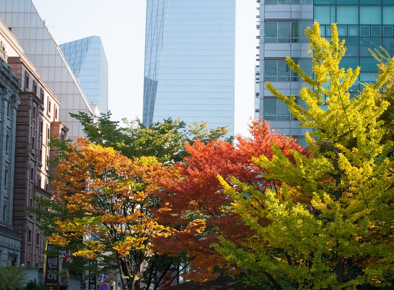 Groepsreis Zuid-Korea