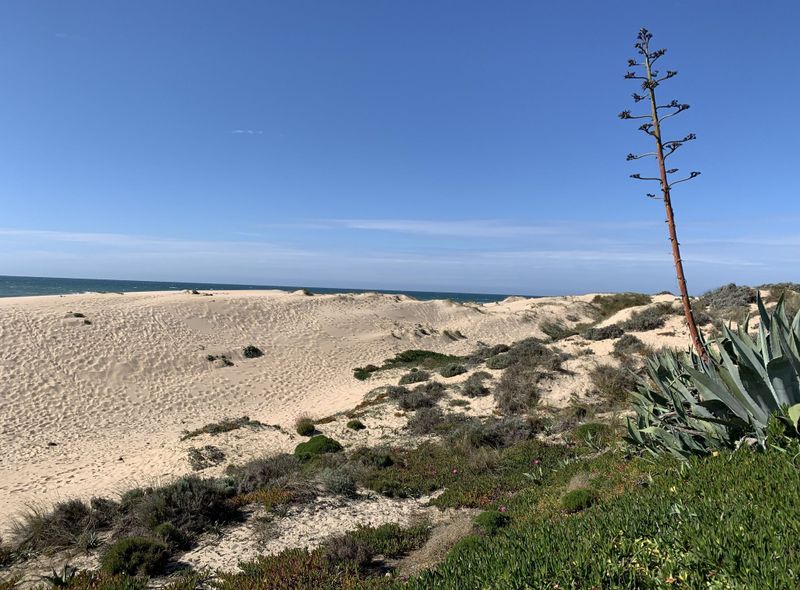 West Coast