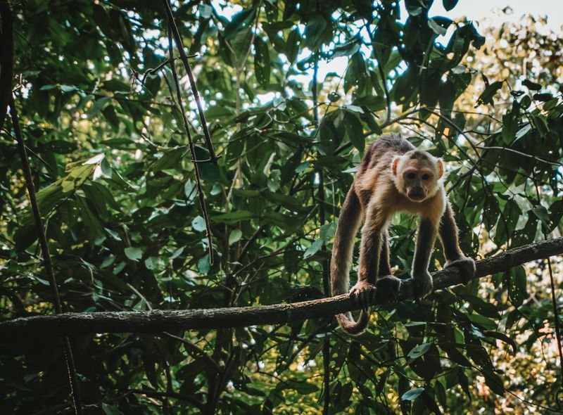 Groepsreis Colombia - Parque Tayrona