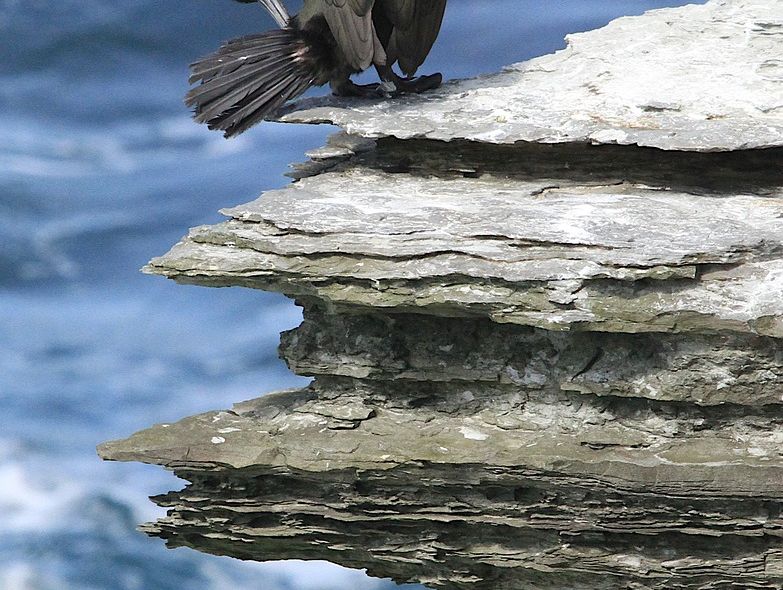 Groepsreis Schotland Shetland