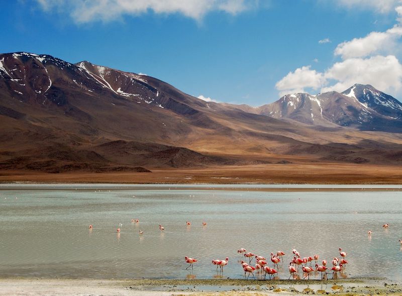Peru & Bolivia