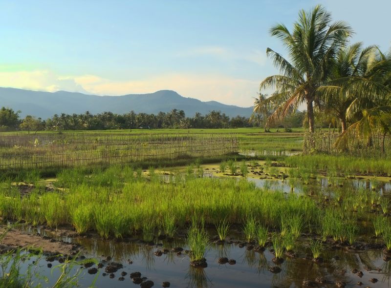 Battambang countryside