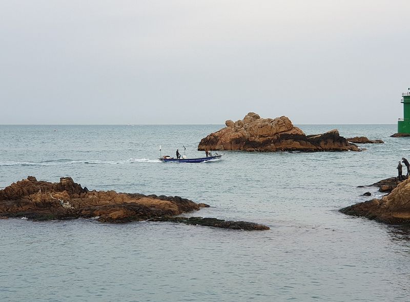 Busan - https://pixabay.com/photos/busan-millet-his-ocean-rock-5046149/