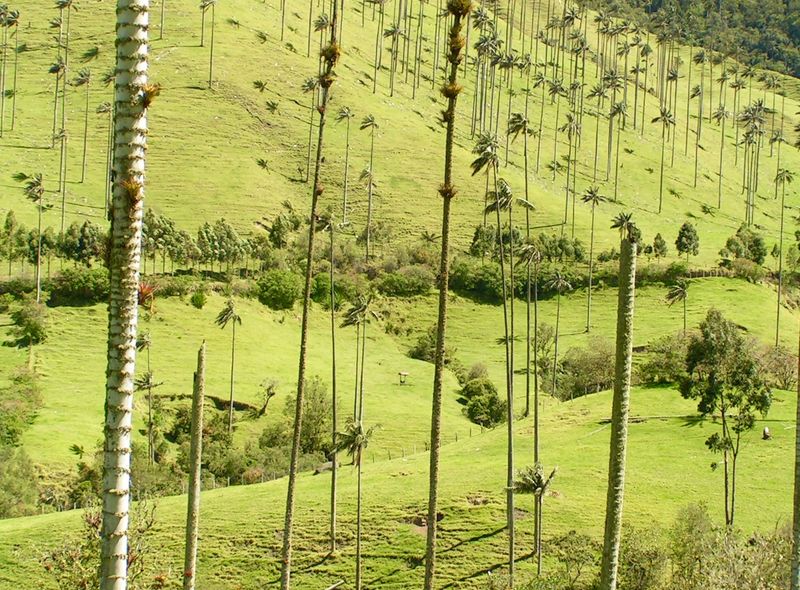 Colombia