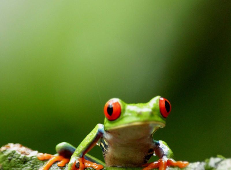 Groepsreis Costa Rica en Panama