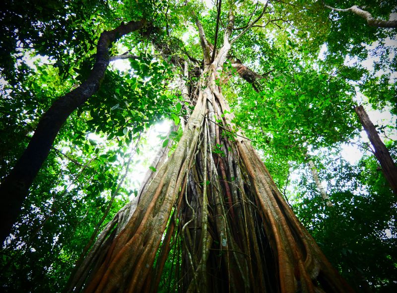 Groepsreis Costa Rica en Panama