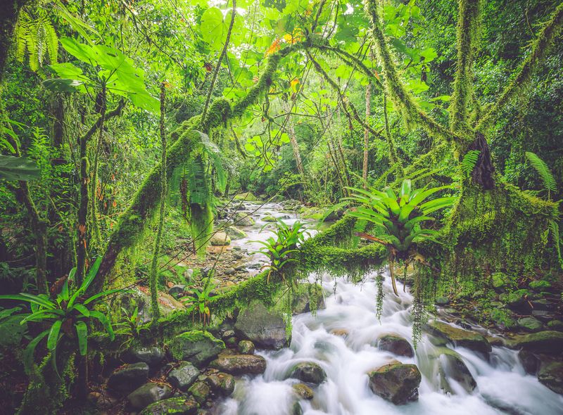 Groepsreis jongerenreis Costa Rica en Panama