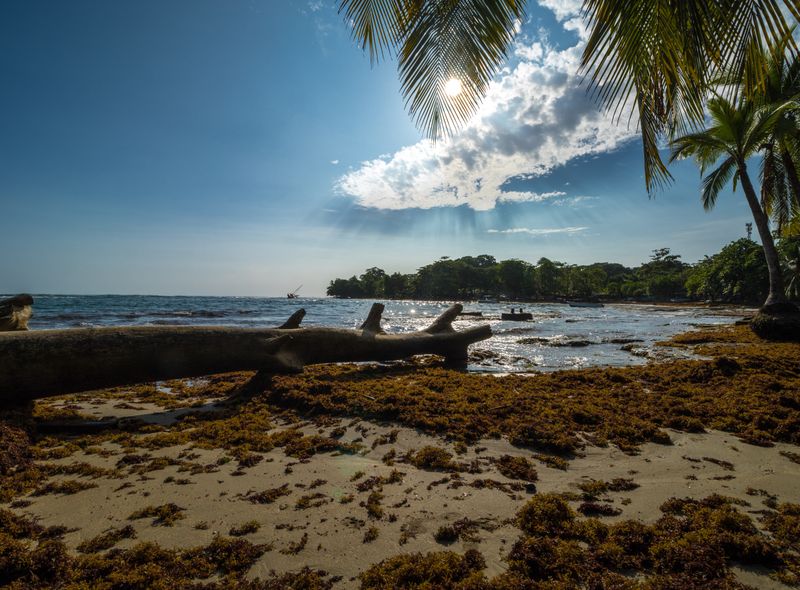 Groepsreis jongerenreis Costa Rica en Panama