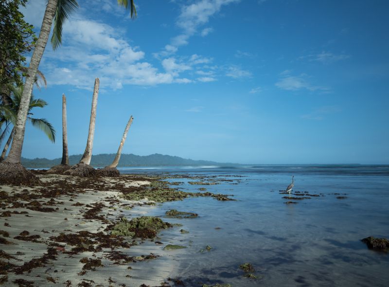 Groepsreis Costa Rica en Panama