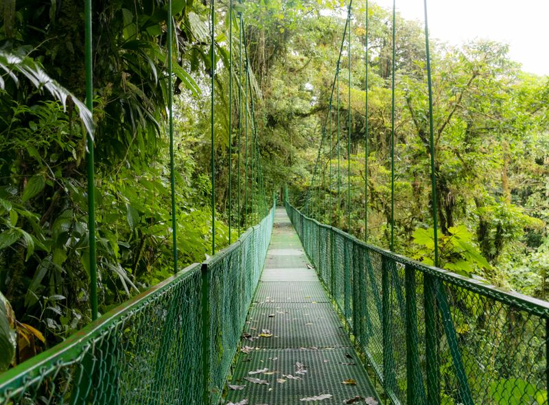 Groepsreis Costa Rica en Panama
