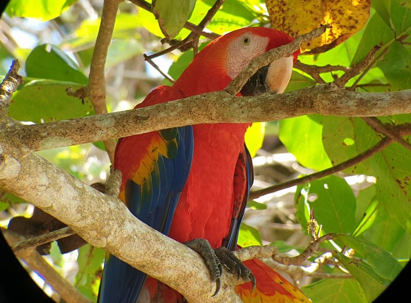 Groepsreis jongerenreis Costa Rica en Panama