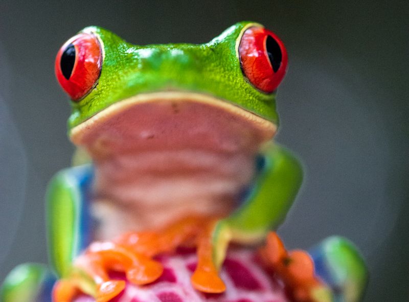Costa Rica