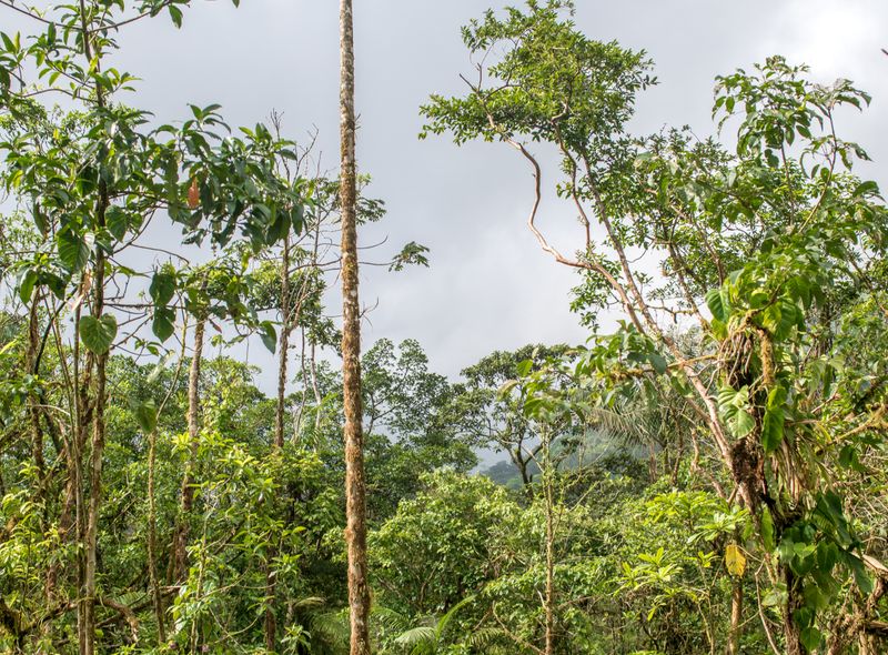 Costa Rica