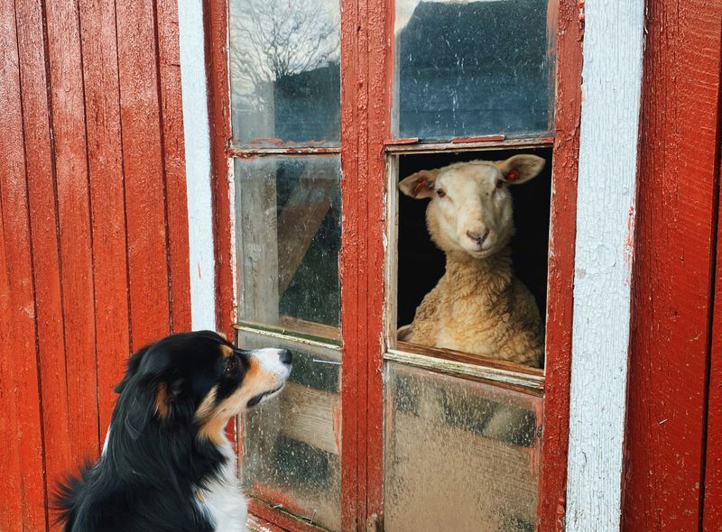 Groepsreis Noord-Ierland