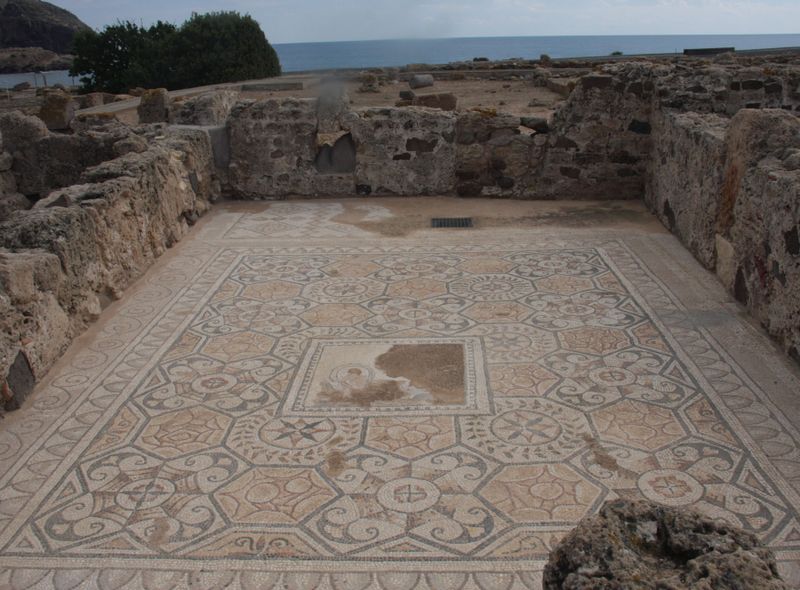 Dominique Verschuere