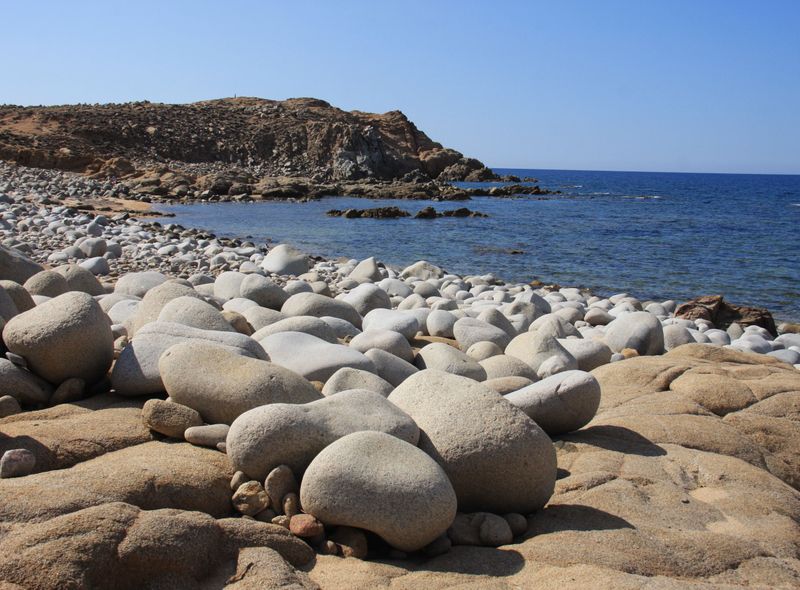 Dominique Verschuere