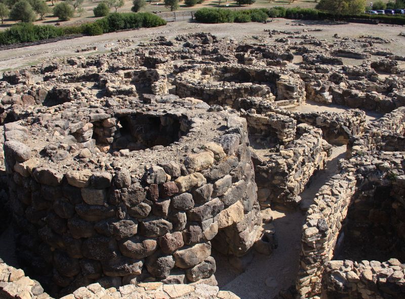 Dominique Verschuere